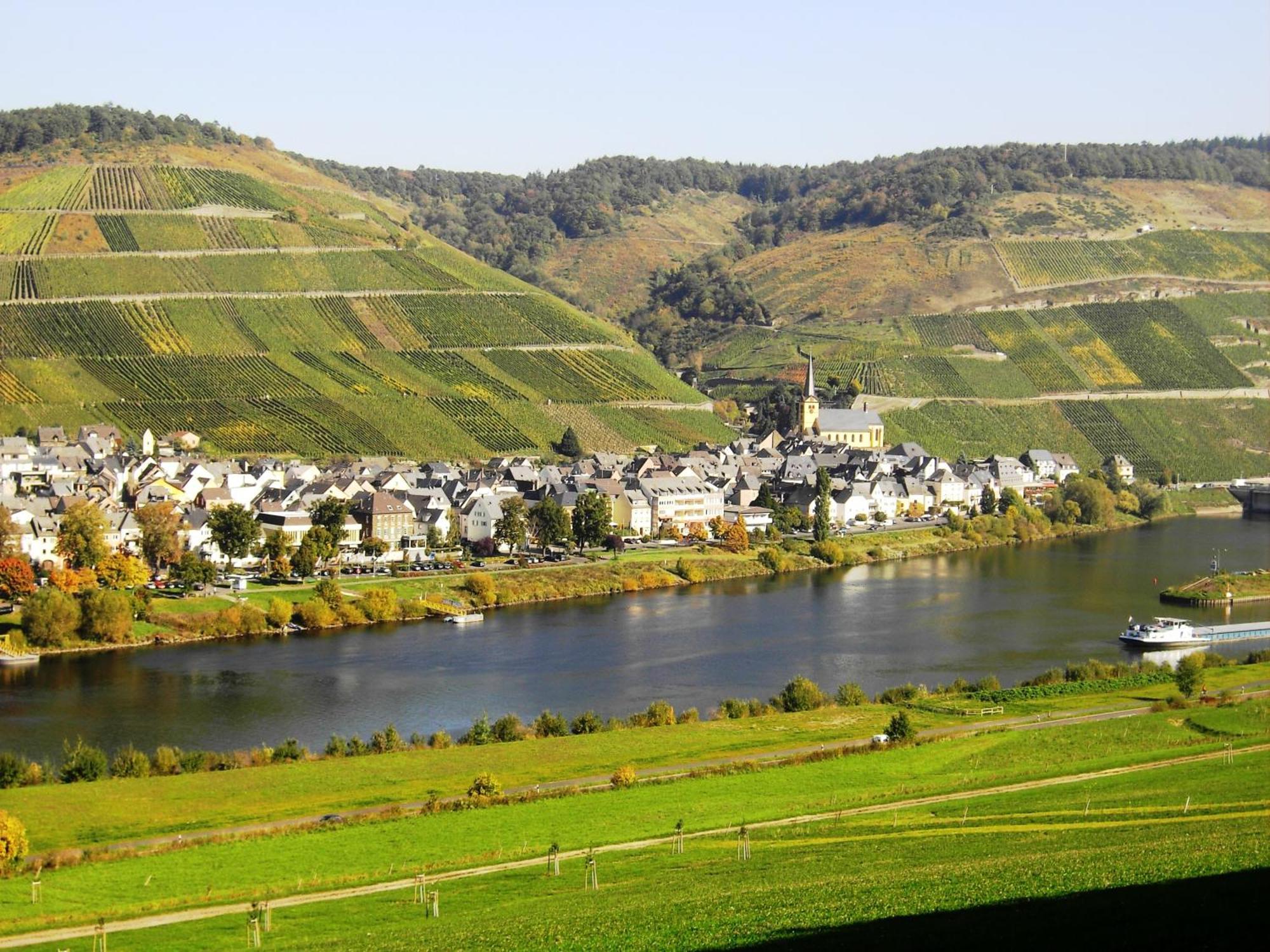 Weinstube Pension Moselbluemchen ツェルティンゲン・ラハティグ エクステリア 写真