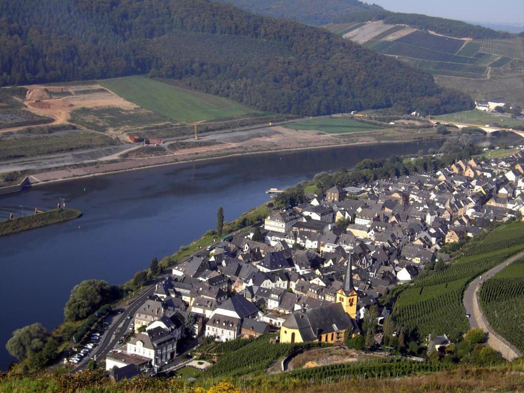 Weinstube Pension Moselbluemchen ツェルティンゲン・ラハティグ エクステリア 写真